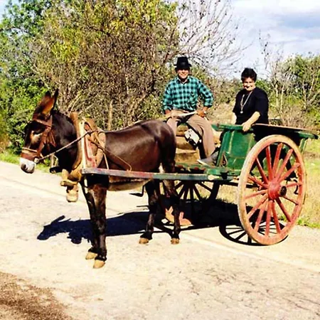 Forte Apartamento Albufeira