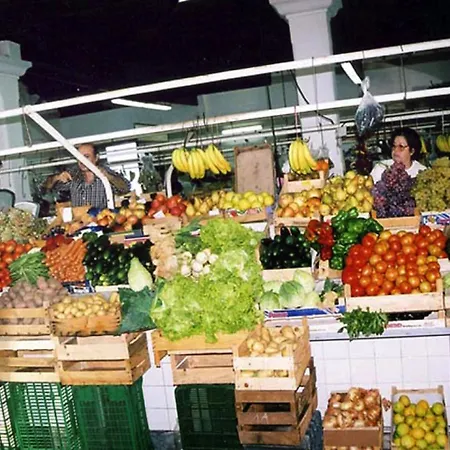 Forte Διαμέρισμα Αλμπουφέιρα