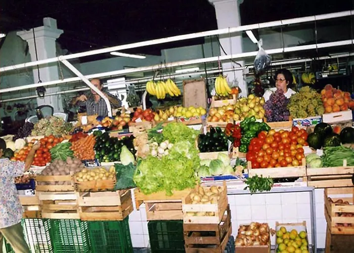 Forte شقة البوفيرا