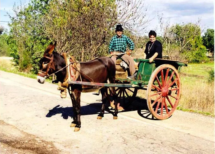 Forte شقة البوفيرا